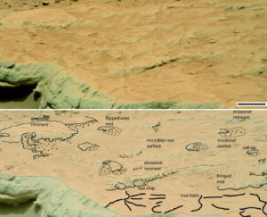 Rock bed at Gillespie Lake outcrop on Mars. Scale bar – 15 cm. Image credit: NASA.